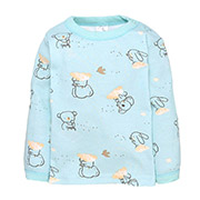 Лонгслів для хлопчика 0405204зхм мультирип Татошка блакитний