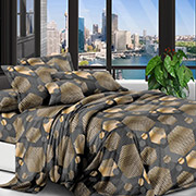 Постільна білизна Золота геометрія 600623 полікоттон Selena