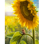 Алмазна мозаїка Kornel GLE74081 50х40 см