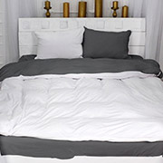 Постільна білизна Winter Delicate 28-0057 Dandelion велюр+сатин MirSon