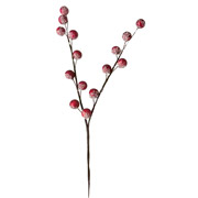 Гілка декоративна 27 см із червоними ягодами Yes! Fun 973524