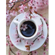 Алмазна мозаїка Kornel GLE74212 50х40 см