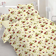 Постільна білизна 40-0065 Bordo бязь gold Nostra