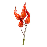 Гарбуз декоративний грушоподібний 4 см 5 шт в пучку глянець YES! Fun 974138