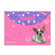 Папка-конверт пластикова на кнопці А4 Keith Kimberlin Yes 492009