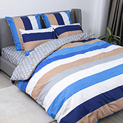 Постільна білизна 381 Homey ранфорс ТЕП