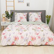 Постільна білизна 25364 ранфорс Isleep