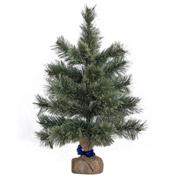 Сосна декоративная Лапландия YES! Fun 903347