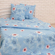 Постільна білизна 20-1356 Aqua бязь gold Nostra