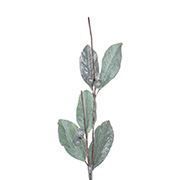 Веточка декоративная Магнолия 87х23см Lefard 66-017