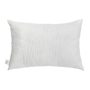 Подушка антиалергенна For 4 Seasons ArCloud