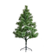 Сосна Подоляночка YES! Fun 903647