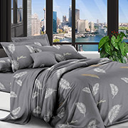 Постільна білизна Легкість 600737 полікоттон Selena
