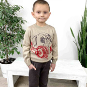 Джемпер для хлопчика Мопс Прованс 015335 бежевий