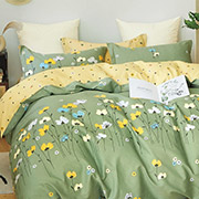 Постільна білизна з ранфорса 21142 Вілюта