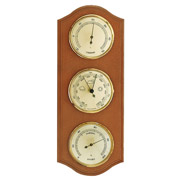 Метеостанція 203379 Alder Moller DAS301244