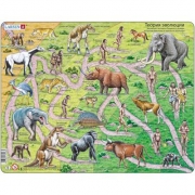 Пазл рамка-вкладиш Larsen Теорія еволюції Maxi HL3