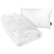 Набір антиалергенний з ковдри та подушки Basic Platinum Sonex