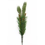 Ветка 48 см Yes! Fun 904237 зеленая