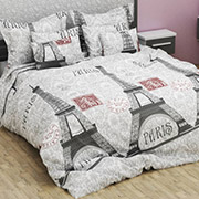 Постельное белье Париж 100510 бязь-люкс Selena