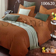 Комплект постільної білизни Selena Шоколадний 100620