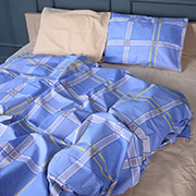 Постільна білизна 17-0784 Checkered Sky бязь MirSon