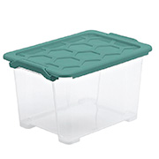 Ящик для зберігання Rotho Ево Сейф 15л м'ята