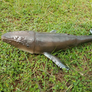 Фігурка Горбатий кит 34 см Lanka Novelties 21580