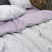 Постільна білизна 24253 ранфорс Isleep