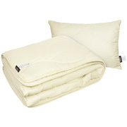 Набір антиалергенний з ковдри та подушки Basic Gold Sonex