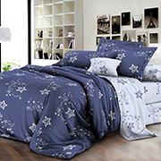 Постільна білизна Танець зірок 100088 бязь-люкс Selena