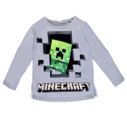 Джемпер для хлопчика Татошка 0701365скф кулір сірий