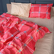 Постільна білизна 17-0783 Checkered Flame бязь MirSon