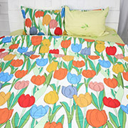 Підковдра 22-1227 Saint-Etienne сатин MirSon