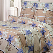 Комплект постільної білизни G458 бязь-gold Ярослав