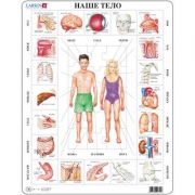 Пазл рамка-вкладиш Larsen Наше тіло Maxi OB1