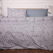 Постільна білизна 17-4839 Cristiano ranforce-elite MirSon