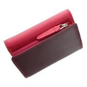 Жіночий шкіряний гаманець Visconti RB-39 Biola plum multi