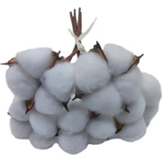 Ветка декоративная 24 см 5 шт в пучке Хлопок Yes! Fun 974816