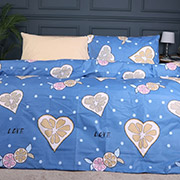 Постільна білизна 17-4823 Nathaniel ranforce-elite MirSon