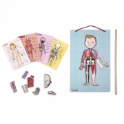 Ігровий магнітний набір Janod Тіло людини J05491