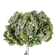 Веточка декоративная Гортензия 51см Lefard 66-149