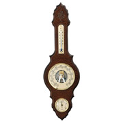 Метеостанція 203023 Walnut Moller DAS301234