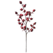 Гілка декоративна 36 см Шипшина Yes! Fun 974996 засніжена