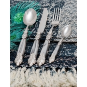 Набір столових приборів Версаль 24 предмета cd26-vess-gr
