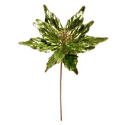 Квітка декоративна 28 см Пуансеттія Yes! Fun 974979 темно-зелена фольга