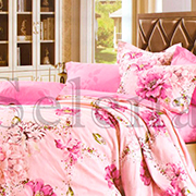 Комплект постільної білизни бязь Selena Забава 150116