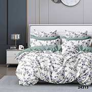 Постільна білизна 24313 ранфорс Вілюта
