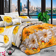 Комплект постільної білизни Selena Сонячний день 100279