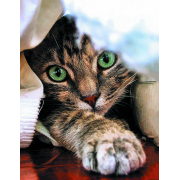 Алмазна мозаїка Kornel GLE74085 50х40 см